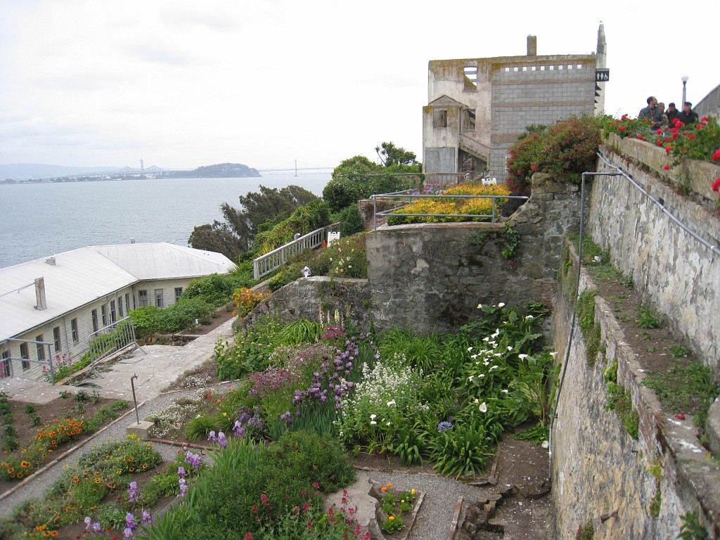2011 Bay 2 Breakers Saturday 0490.JPG - I was able to participate in the 2011, 100th anniversary of the San Francisco Bay to Breakers 12K race. A great weekend for sight seeing and racing.